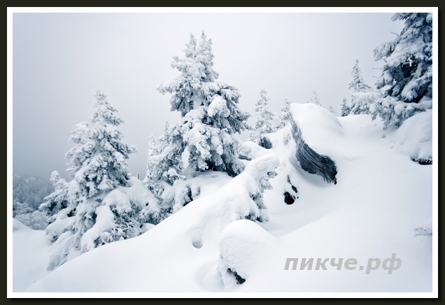 Фото тропы к пику Черского зимой